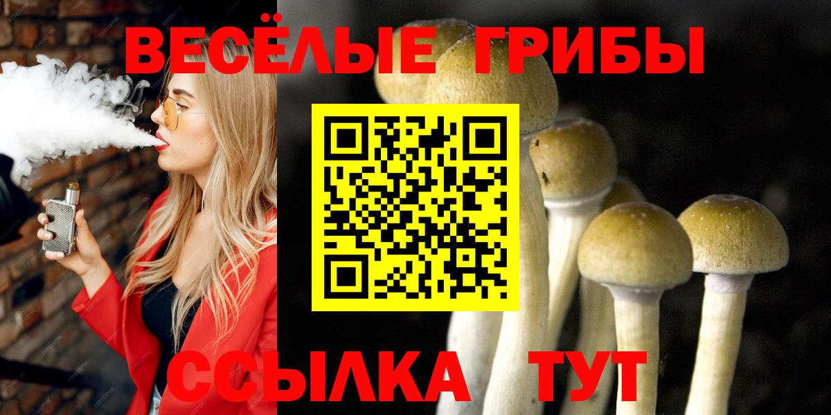 Алатырь  Псилоцибиновые грибы ЛСД  где можно купить   Вход с VPN 